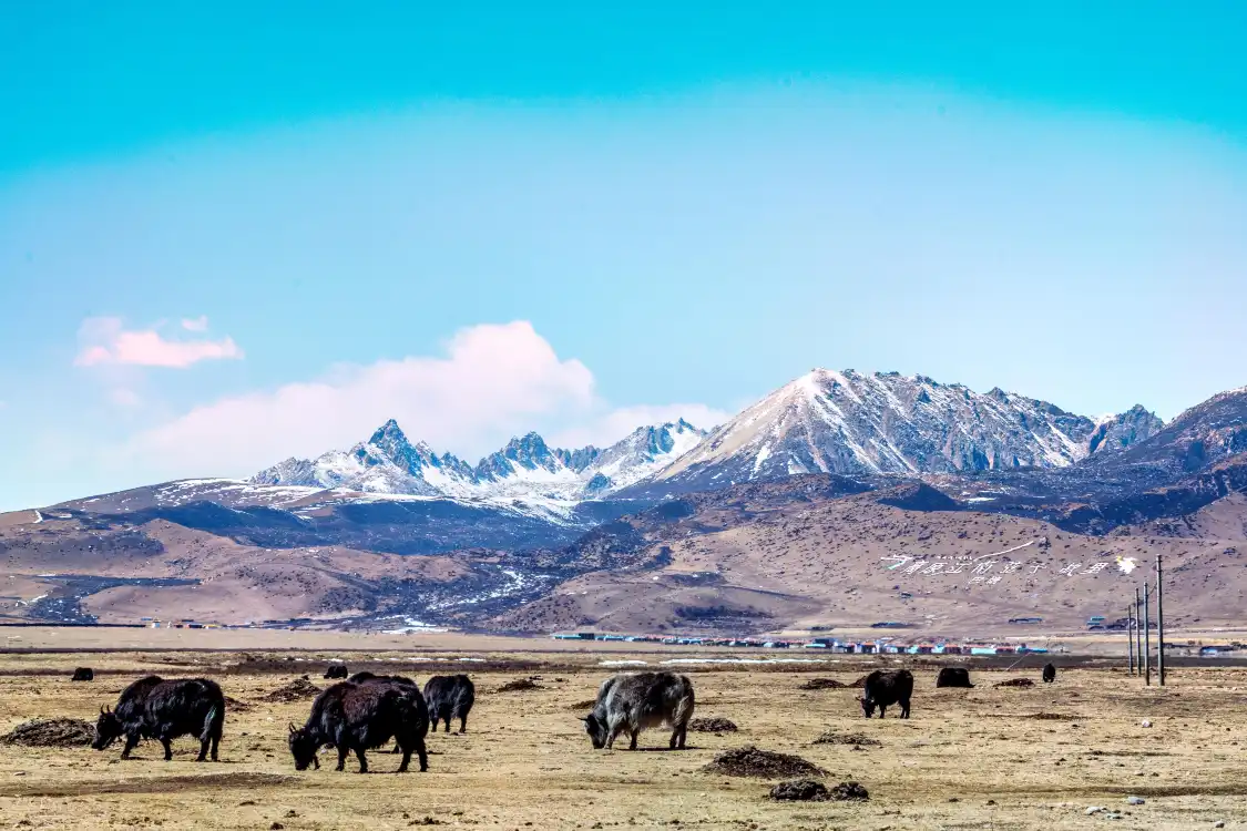 Hotels near Litang Grassland