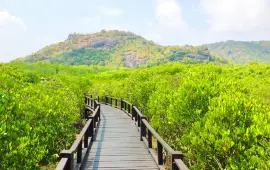 วนอุทยาน ปราณบุรี