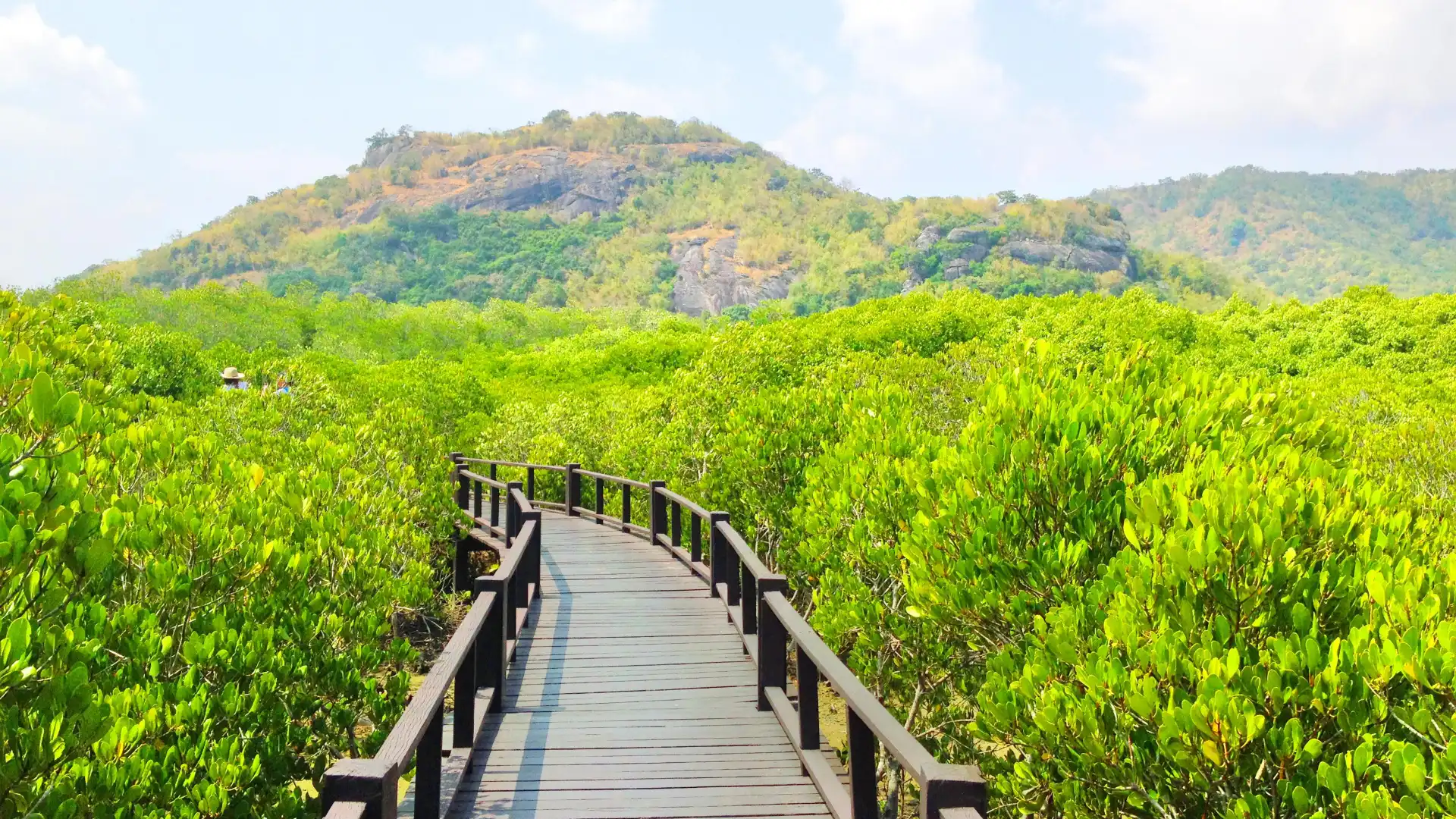 Hotels near Pran Buri Forest Park