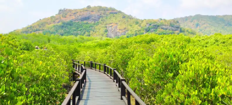 โรงแรมในอำเภอ ปราณบุรี