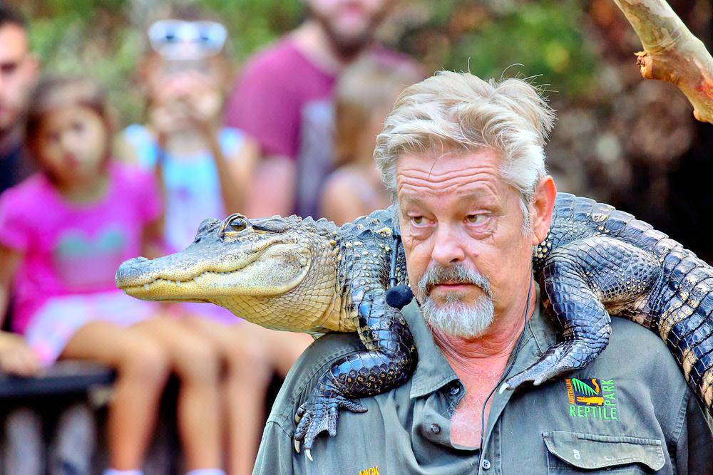 Australian Reptile Park 