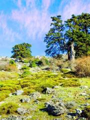 Parque Nacional Sierra de las Nieves