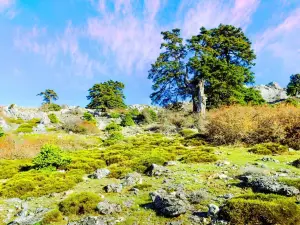 Parque Nacional Sierra de las Nieves