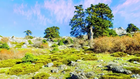 Sierra de las Nieves National Park