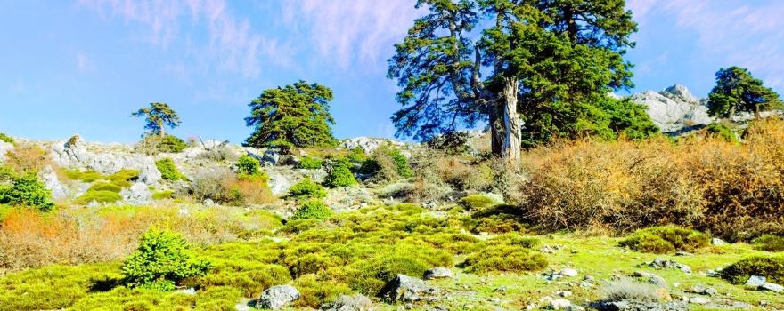 Sierra de las Nieves National Park