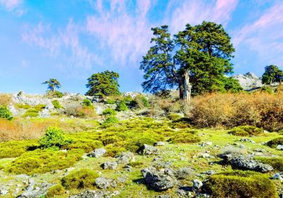 Sierra de las Nieves National Park