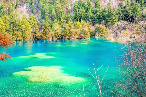 Flights Chengdu to Jiuzhaigou