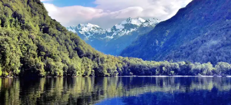 Hotels in Manapouri