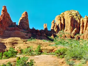 Coconino National Forest