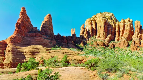 Coconino National Forest