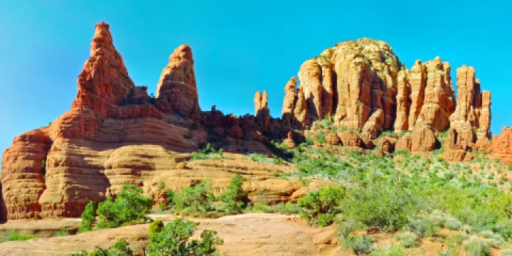 可可尼諾國家森林