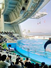 마린월드 우미노나카미치 (Marine World Uminonakamichi)