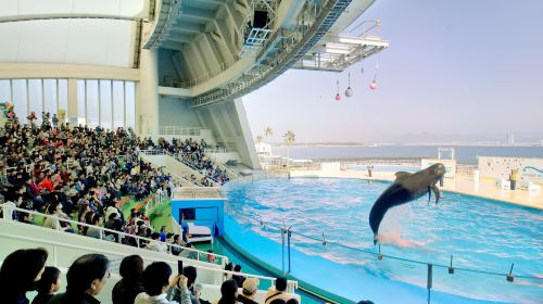 마린월드 우미노나카미치 (Marine World Uminonakamichi)