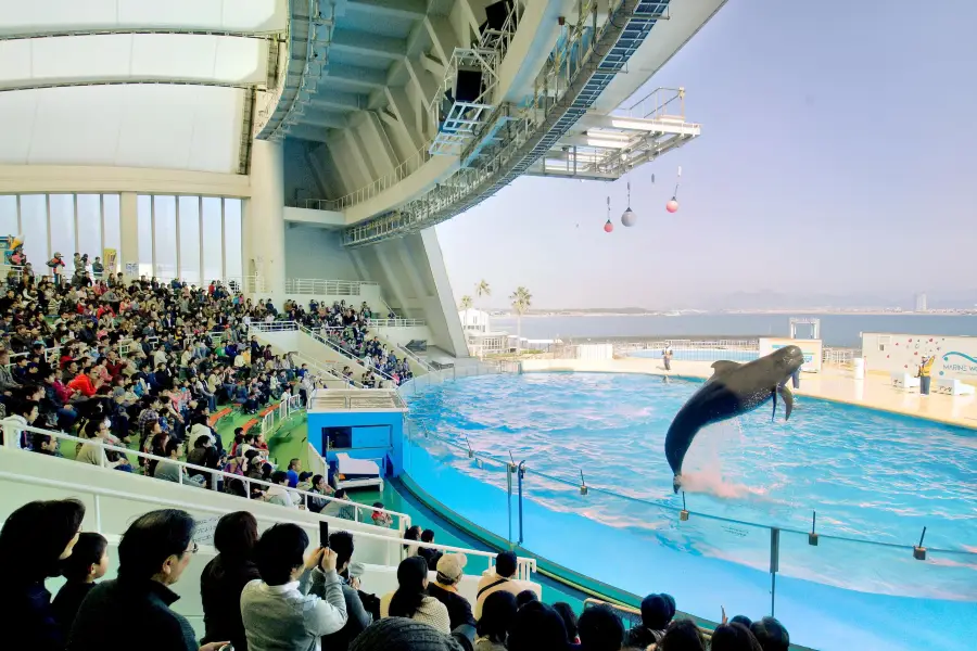 マリンワールド海の中道