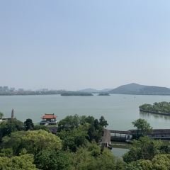 君來湖濱飯店悅吧張用戶圖片