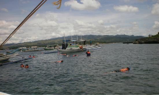 Crocodile Island