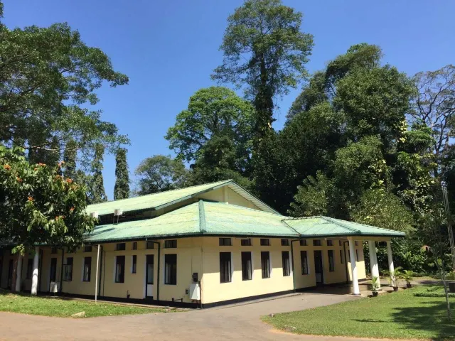 貝塔市場