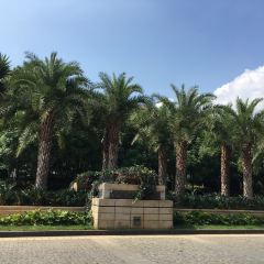 InterContinental Kunming·Cai Die Ba User Photo