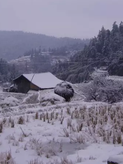 Yaozhu Mountain