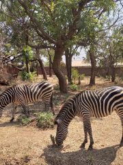 Munda Wanga Environmental Park