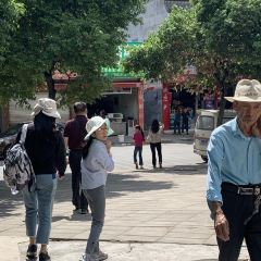 传统弥勒菜 User Photo
