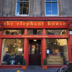 The Elephant House User Photo