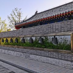 曲阜鲁能JW万豪酒店·JW Kitchen自助餐厅 User Photo