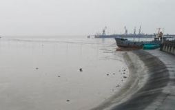 山湾渔村位于嘉兴港区乍浦镇汤山脚下,杭州湾之滨。看上去不起眼