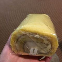 PICOT 여행 사진
