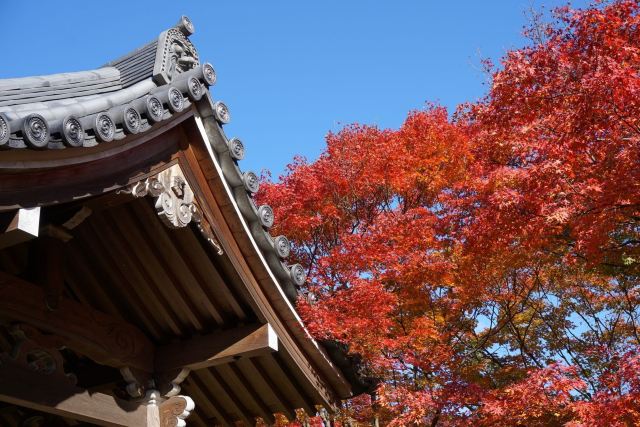 常寂光寺のレビュー常寂光寺のよくある質問