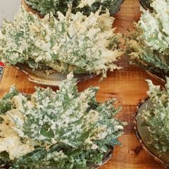 欢乐居农家乐 User Photo