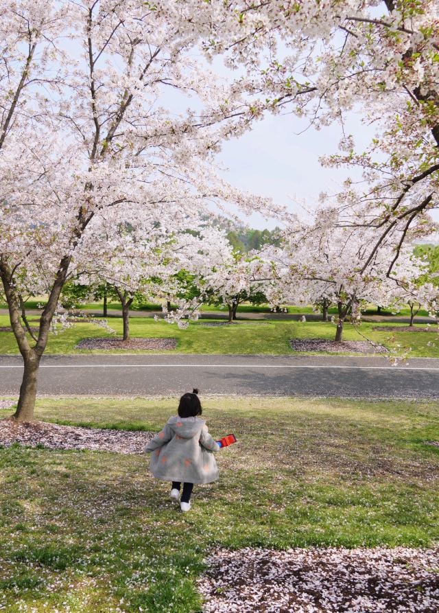 상하이 천산 식물원(상해 진산식물원)