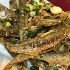 邮电餐厅 User Photo