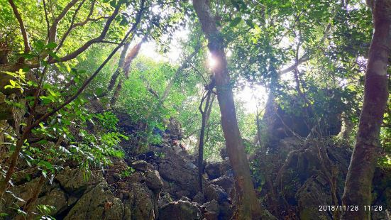 國家森林公園，環線徒步一周大概2小時，爬山全是坡路，門票四萬