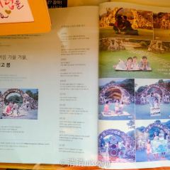 Dreamy Camera Cafe User Photo