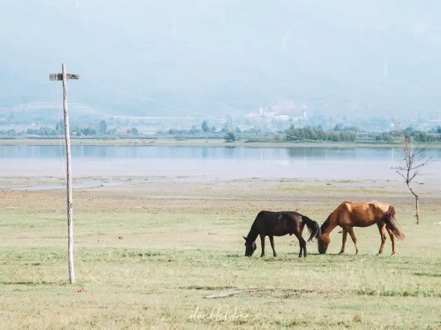 Lijiang Horse Riding