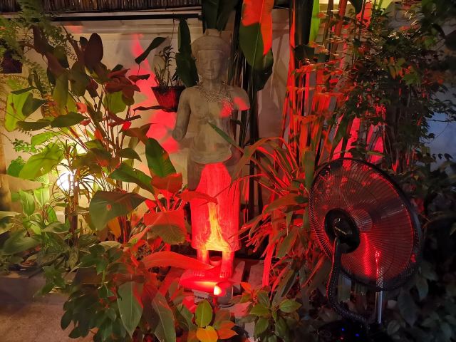 Chanrey Tree