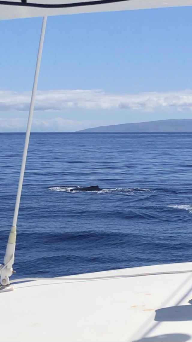 Lahaina