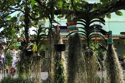 The Village Restaurant & Bar