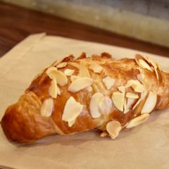 Little Collins User Photo