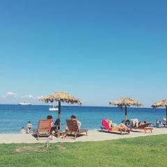 Ammos Taverna ảnh của người dùng