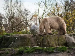 Rotterdam Zoo