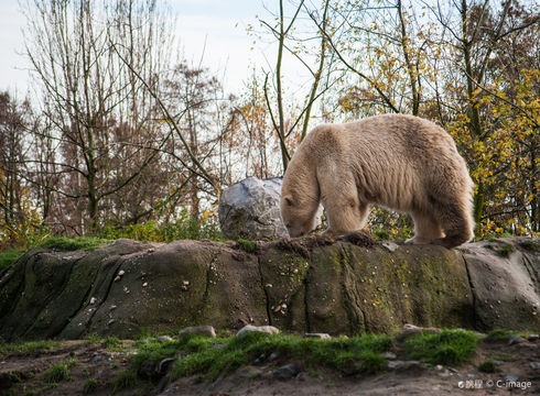 Rotterdam Zoo