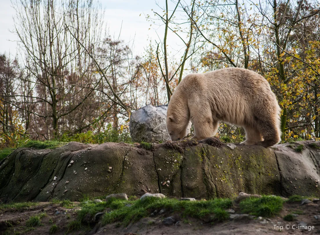 2_Rotterdam Zoo