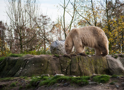 Rotterdam Zoo