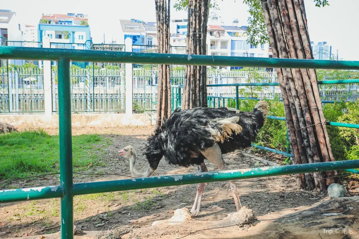 4_西貢動植物園