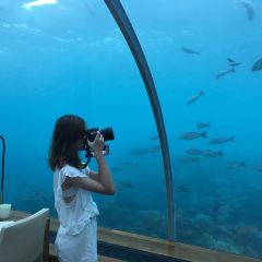 ITHAA UNDERSEA RESTAURANT ảnh của người dùng