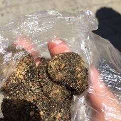 Yeshi Fried Glutinous Pudding User Photo