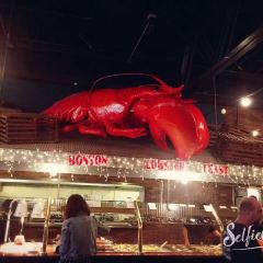 Boston Lobster Feast User Photo
