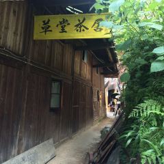 CAO TANG CHA JU User Photo